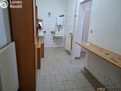 Rent production hall Slaný, Netovická č. 7