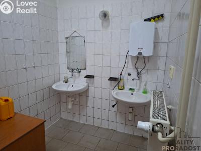 Rent production hall Slaný, Netovická č. 8
