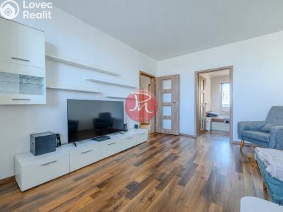 Sale apartment 3+1 Opava, Antonína Sovy č. 3