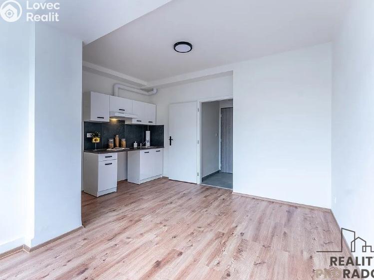 Rent apartment 1+KK Praha, Na břevnovské pláni č. 2