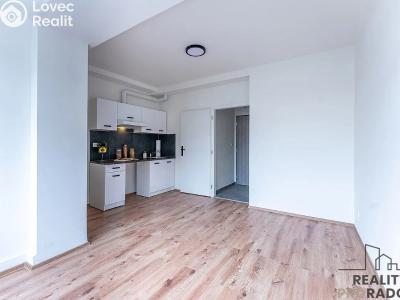 Rent apartment 1+KK Praha, Na břevnovské pláni č. 2