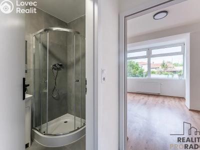 Rent apartment 1+KK Praha, Na břevnovské pláni č. 5