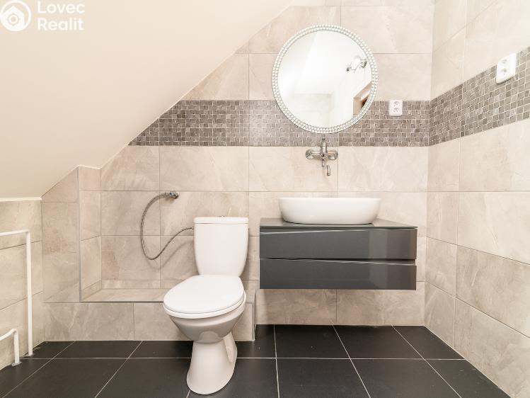 Продаж сімейного будинку Horní Domaslavice č. 7