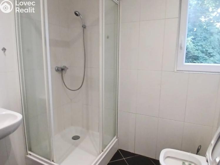 Rent apartment 1+KK Praha, V Holešovičkách č. 3