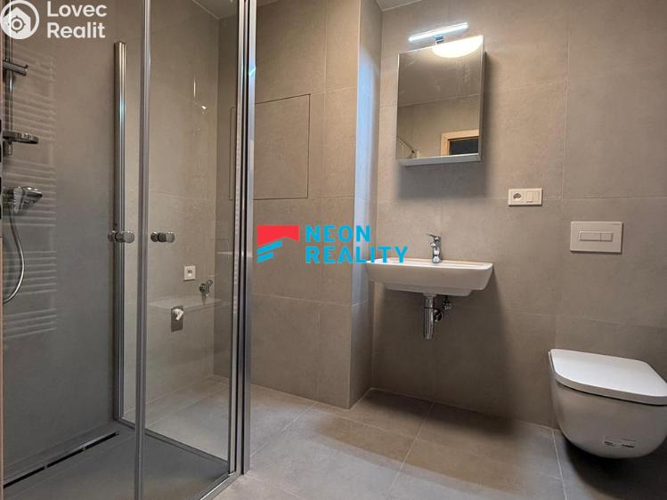 Rent apartment 1+KK Opava, Císařského pluku 3078/1 č. 3
