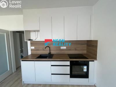 Pronájem bytu 1+KK Opava, Císařského pluku č. 1