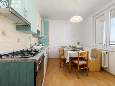 Prodej bytu 3+1 České Budějovice, J. Š. Baara č. 2