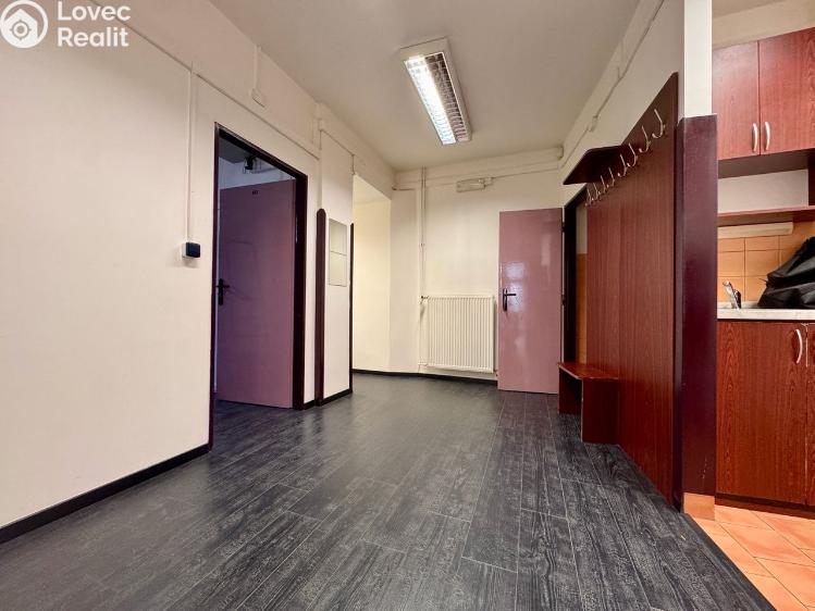 Rent office space Praha, Krakovská 1695/21 č. 2