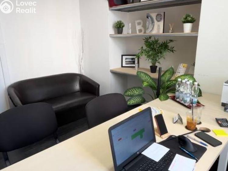 Rent office space Praha, Krakovská 1695/21 č. 5