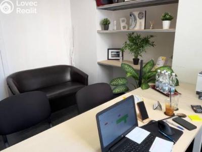 Оренда офісного приміщення Praha, Krakovská č. 5