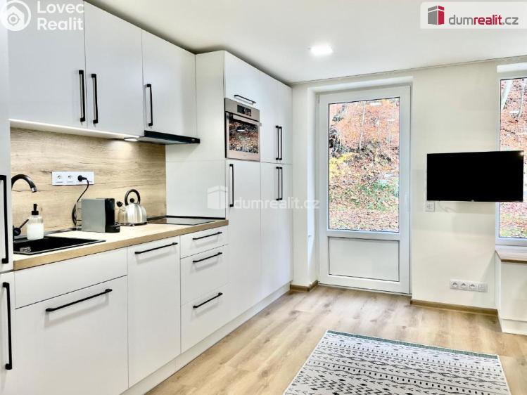 Prodej bytu 1+KK Jáchymov, K Lanovce č. 1