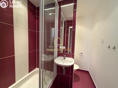 Pronájem bytu 2+1 Ostrava, Zimmlerova č. 3