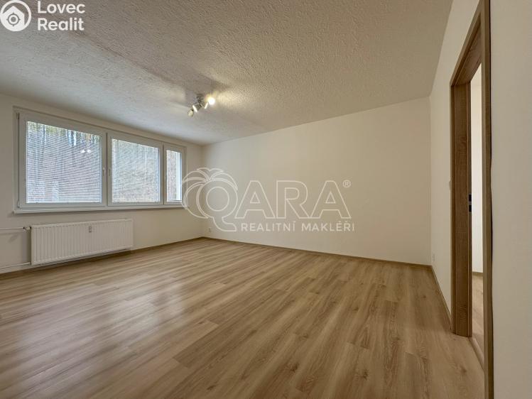 Pronájem bytu 3+1 Paseka č. 4