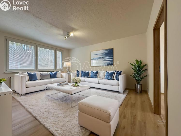 Pronájem bytu 3+1 Paseka č. 5