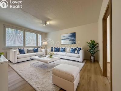 Pronájem bytu 3+1 Paseka č. 5