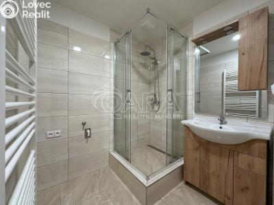 Rent apartment 3+1 Paseka č. 10