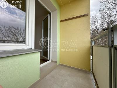 Rent apartment 3+1 Paseka č. 11