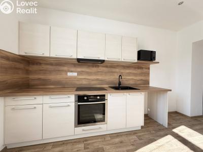 Pronájem bytu 2+KK Pardubice, Kotkova 794 č. 2