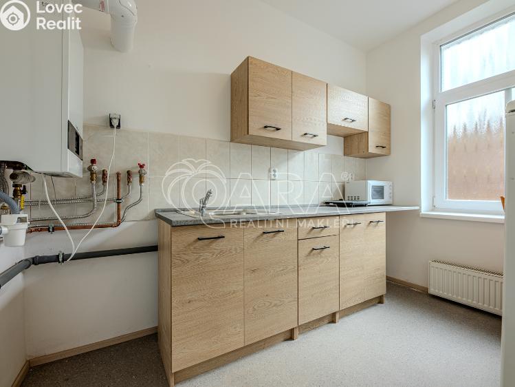 Оренда торгового приміщення Vestec, Vestecká 541 č. 8