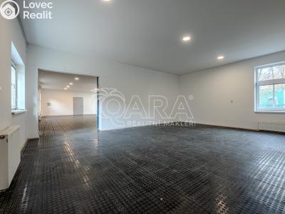 Оренда торгового приміщення Vestec, Vestecká 541 č. 5