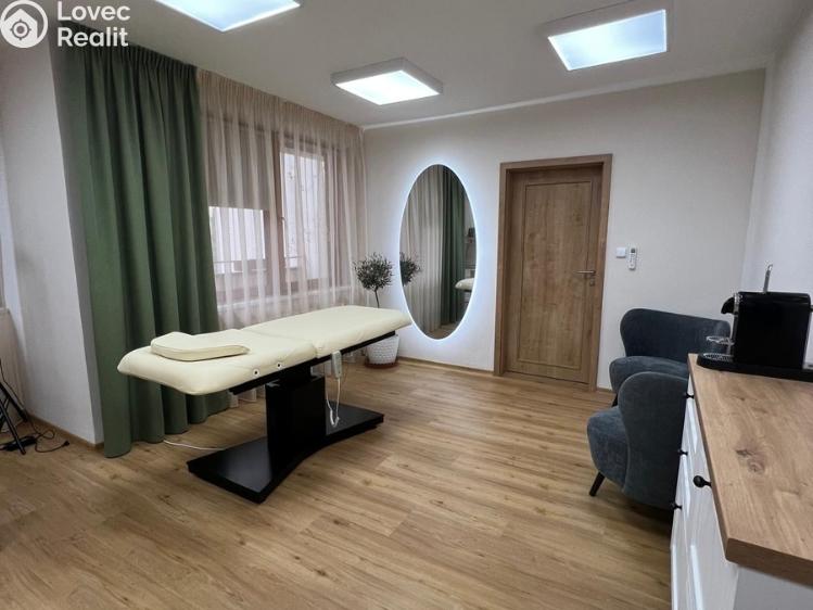 Pronájem komerční nemovitosti Brno, Píškova č. 1