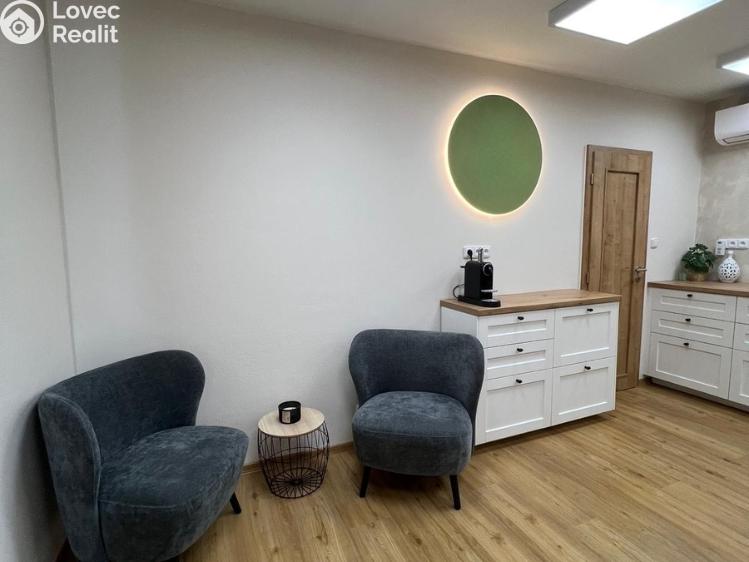 Pronájem komerční nemovitosti Brno, Píškova č. 4