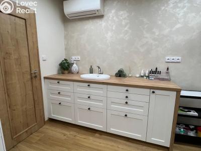 Оренда комерційної нерухомості Brno, Píškova č. 6