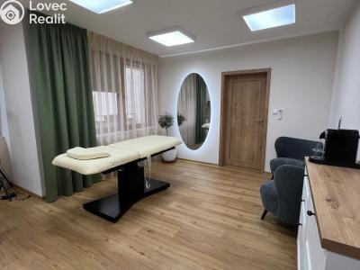 Pronájem komerční nemovitosti Brno, Píškova č. 1