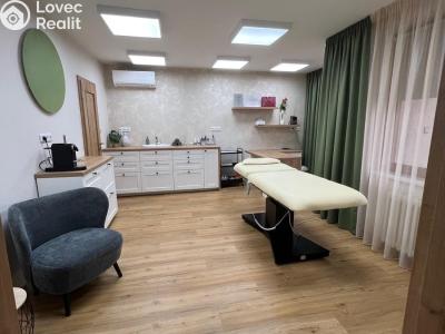 Pronájem komerční nemovitosti Brno, Píškova č. 2