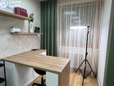 Pronájem komerční nemovitosti Brno, Píškova č. 5