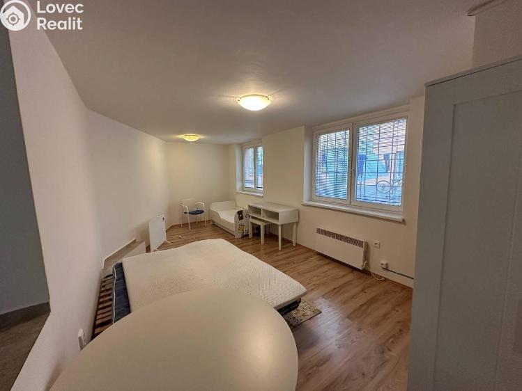 Pronájem bytu 1+1 Praha, Družstevní č. 3