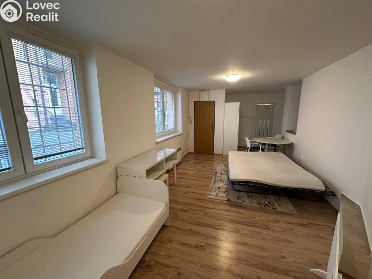 Pronájem bytu 1+1 Praha, Družstevní č. 4