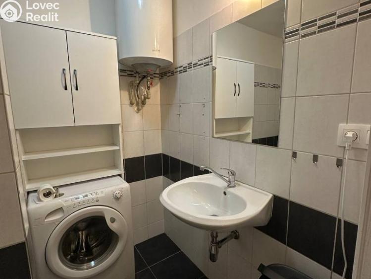 Pronájem bytu 1+1 Praha, Družstevní č. 9