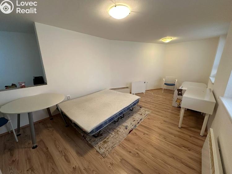 Pronájem bytu 1+1 Praha, Družstevní č. 10