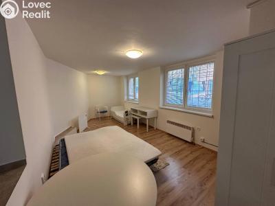 Pronájem bytu 1+1 Praha, Družstevní č. 3