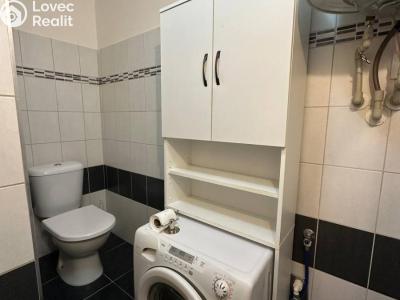 Pronájem bytu 1+1 Praha, Družstevní č. 6