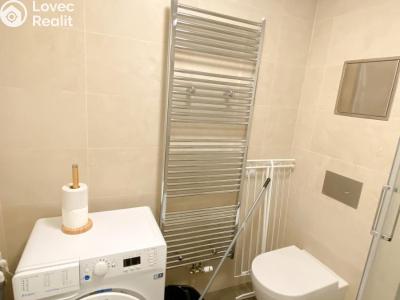 Pronájem bytu 1+KK Praha, Tyršova č. 6