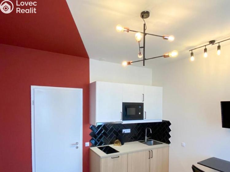 Pronájem bytu 1+KK Praha, Tyršova č. 2