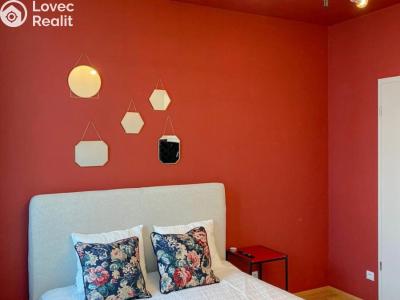 Pronájem bytu 1+KK Praha, Tyršova č. 4