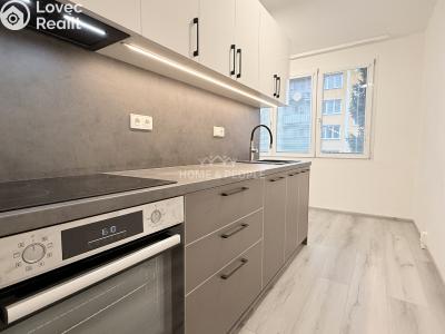 Pronájem bytu 2+1 Vimperk, Čelakovského č. 3