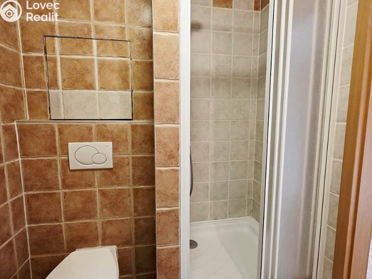 Pronájem bytu 1+KK Brno, Rajhradská č. 6