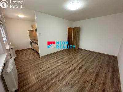 Pronájem bytu 1+1 Ostrava, Vršovců č. 2