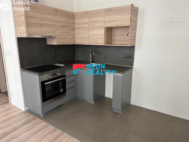 Rent apartment 1+KK Ostrava, Hlávkova č. 1