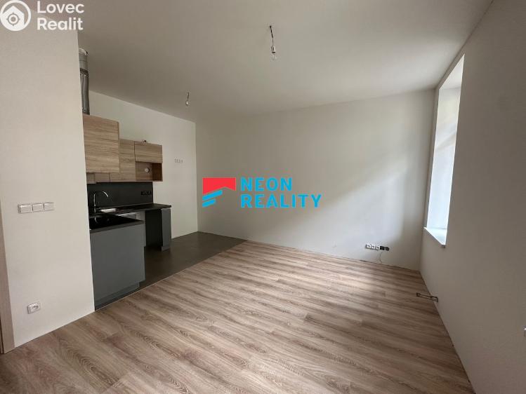 Rent apartment 1+KK Ostrava, Hlávkova č. 4