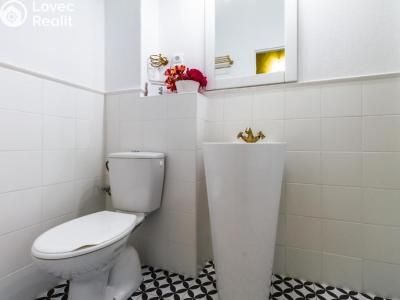 Pronájem ubytovacího zařízení Blatce č. 38