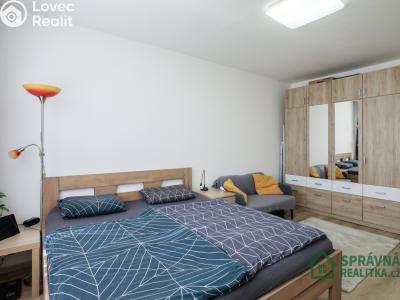 Prodej bytu 2+1 Plzeň, Lábkova č. 3