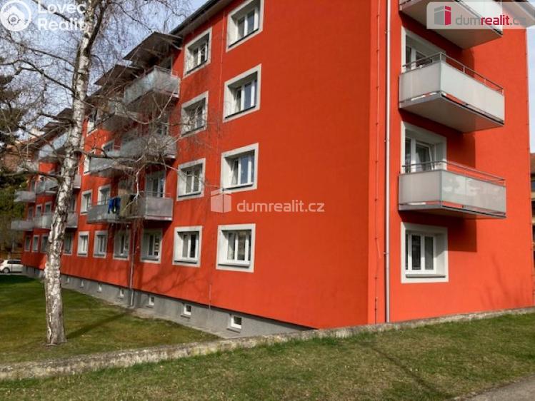 Pronájem bytu 2+1 České Budějovice, Puklicova č. 1