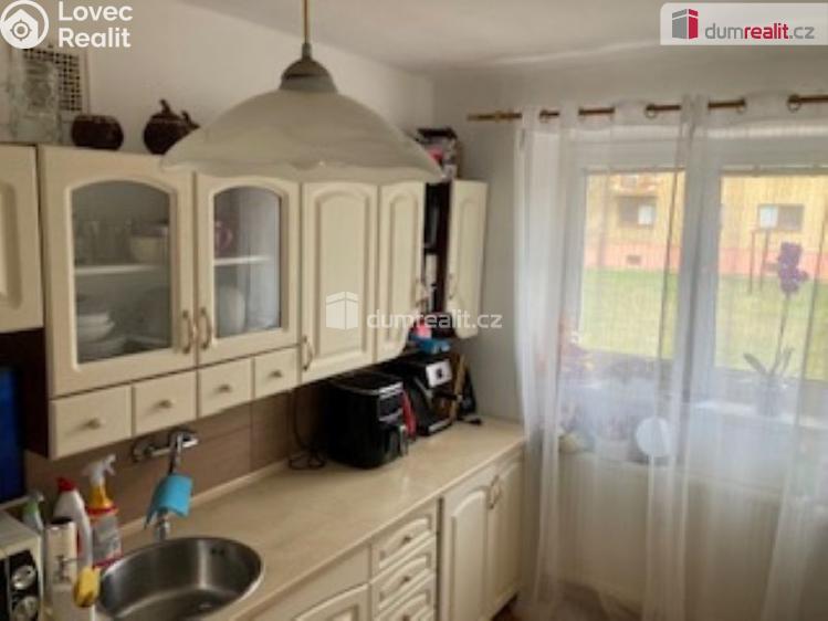 Pronájem bytu 2+1 České Budějovice, Puklicova č. 2