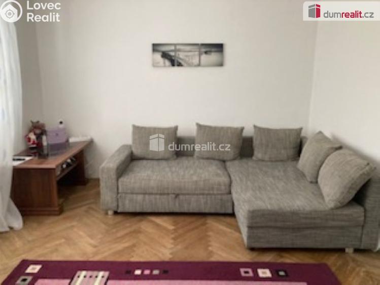 Pronájem bytu 2+1 České Budějovice, Puklicova č. 4