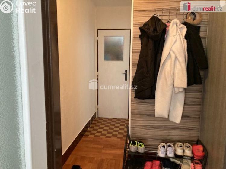 Pronájem bytu 2+1 České Budějovice, Puklicova č. 8
